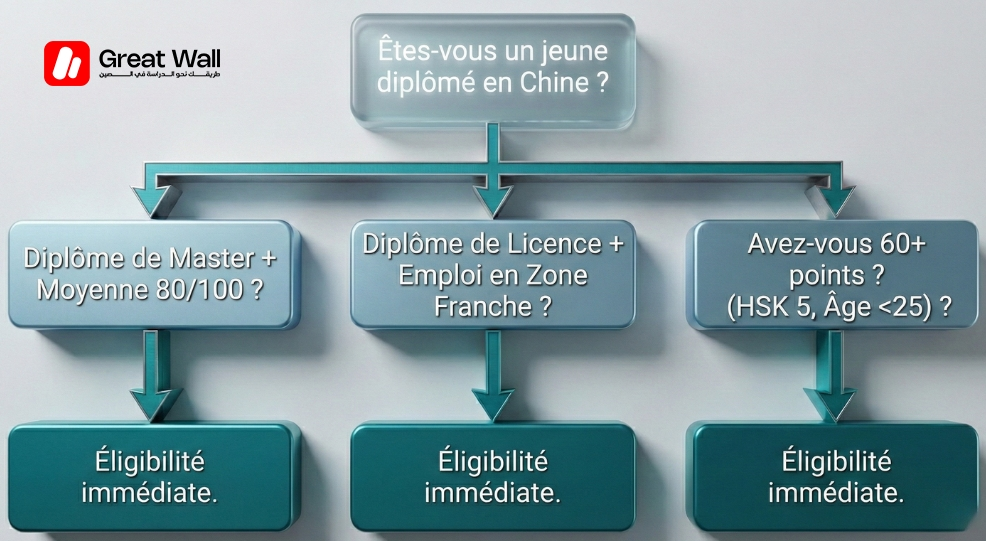 Infographie montrant les voies du Canal Vert permettant aux jeunes diplomes de contourner les regles d epxerience, d obtenir un visa de travail chinois et de reussir a rester en Chine