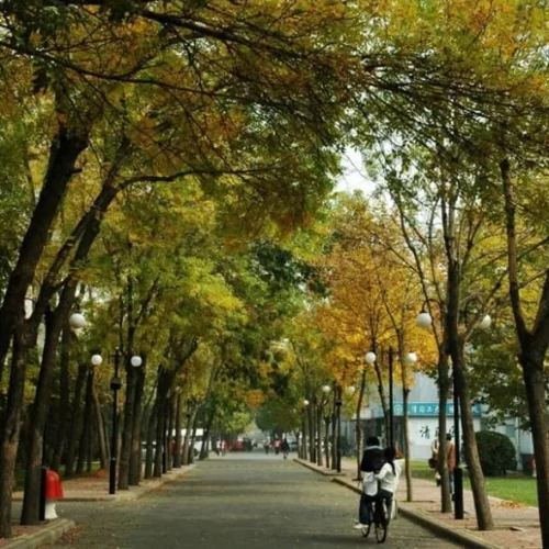 image-3