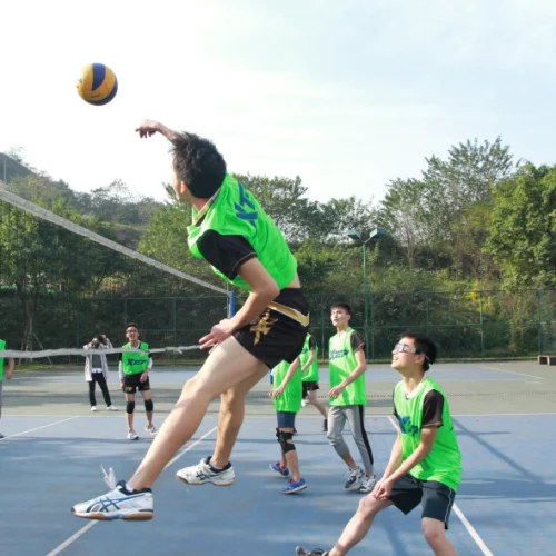 image-5